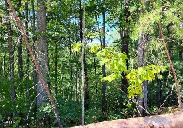 5th image of 8 Faith Mountain Way, Hartford, TN 37753 | MLS# 3281444