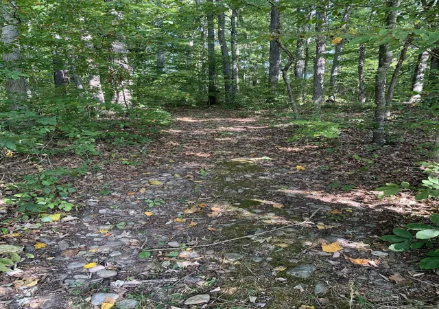 1st image of 0 Glendale Road, Bybee, TN 37713 | MLS# 3320307