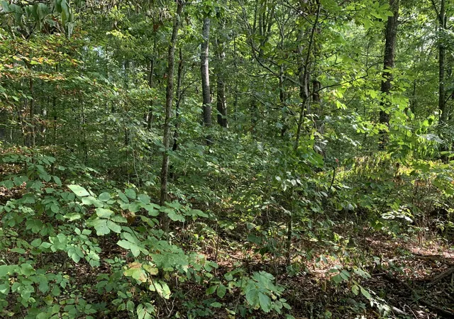 3rd image of 0 Glendale Road, Bybee, TN 37713 | MLS# 3320307