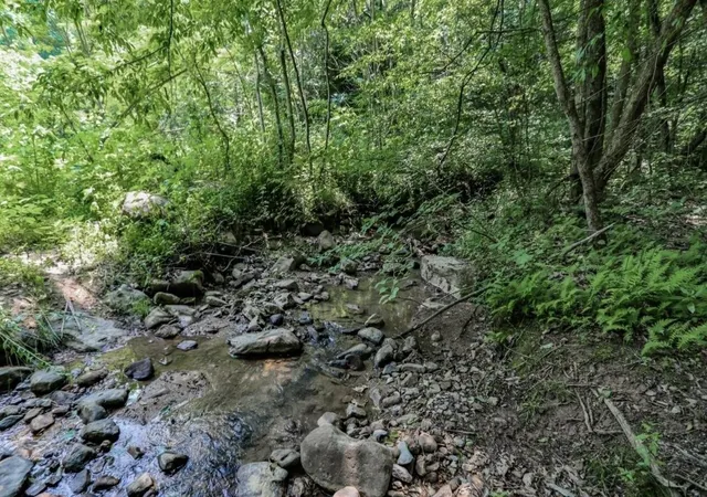 1st image of 1120 Yellow Springs Road, Cosby, TN 37722 | MLS# 3320309