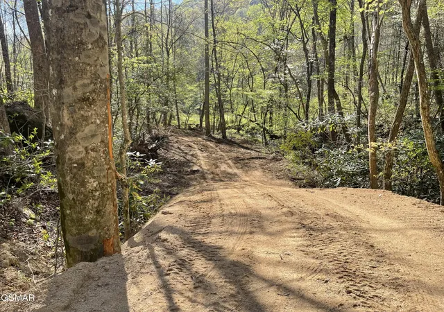 23rd image of 1120 Yellow Springs Road, Cosby, TN 37722 | MLS# 3320309