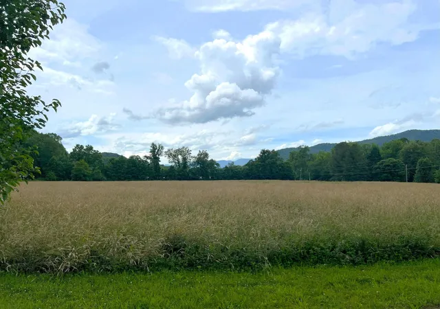 1st image of 130 S Hwy 32, Cosby, TN 37722 | MLS# 3281445