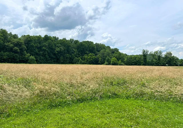 16th image of 130 S Hwy 32, Cosby, TN 37722 | MLS# 3281445