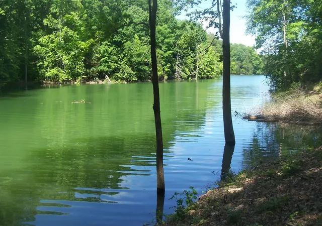 3rd image of 5 Aaron Street Street, Sevierville, TN 37876 | MLS# 3304069