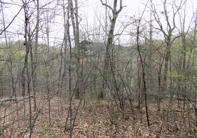 1st image of 1 Mountain Shadow Way, Cosby, TN 37722 | MLS# 3281434