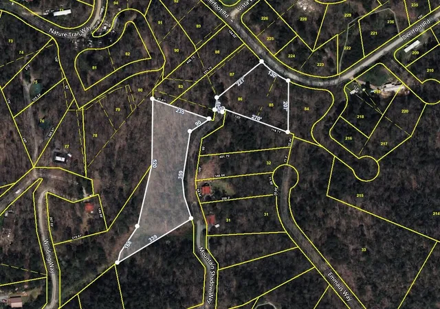 17th image of 1 Mountain Shadow Way, Cosby, TN 37722 | MLS# 3281434