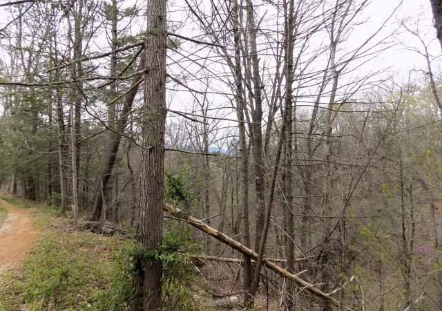 2nd image of 1 Mountain Shadow Way, Cosby, TN 37722 | MLS# 3281434