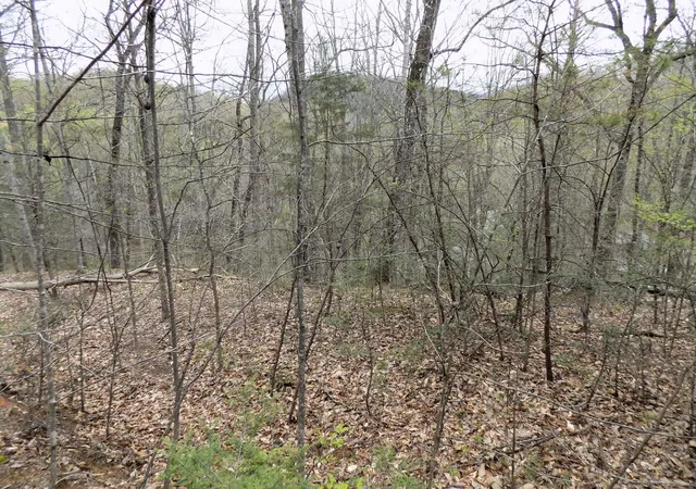 3rd image of 1 Mountain Shadow Way, Cosby, TN 37722 | MLS# 3281434