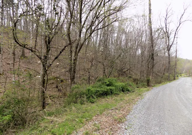 4th image of 1 Mountain Shadow Way, Cosby, TN 37722 | MLS# 3281434