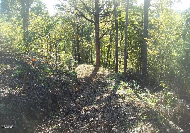 5th image of 20 Scott St, Sevierville, TN 37876 | MLS# 3304076