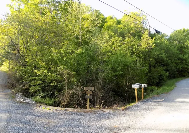 2nd image of 23 Driftwood Road, Cosby, TN 37722 | MLS# 3281435