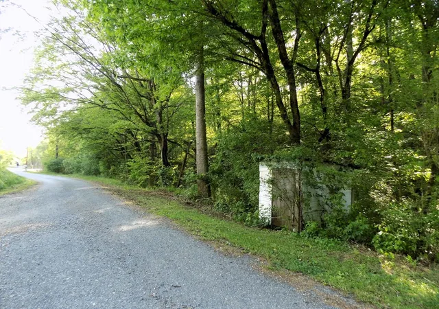 5th image of 23 Driftwood Road, Cosby, TN 37722 | MLS# 3281435