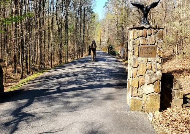 3rd image of 331 Chestnut Ridge, Walland, TN 37886 | MLS# 3270190
