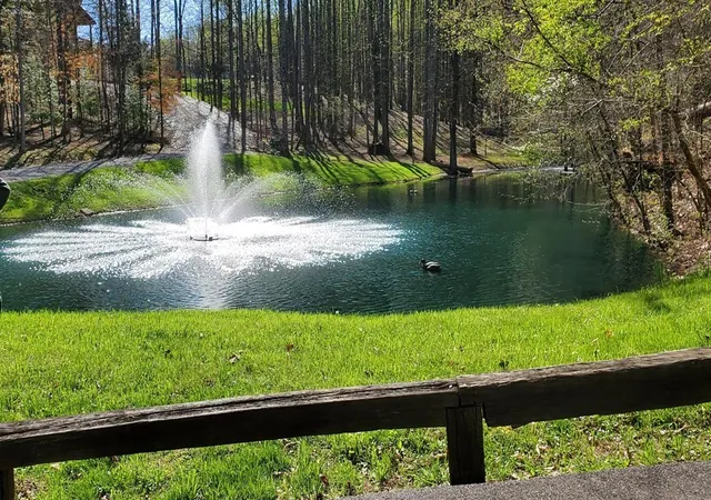 37th image of 331 Chestnut Ridge, Walland, TN 37886 | MLS# 3270190