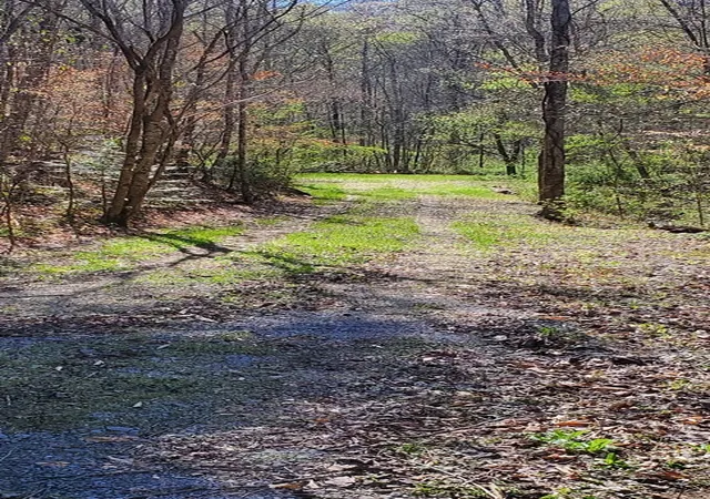 4th image of 331 Chestnut Ridge, Walland, TN 37886 | MLS# 3270190