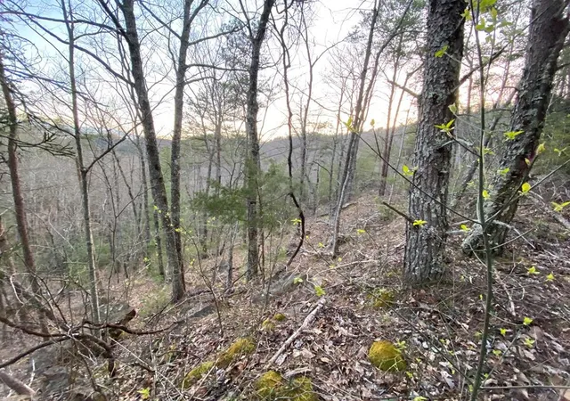 Homes for sale in Sevierville, TN | 46 Beechwood Street, Sevierville, TN 37876 | MLS# 3270043