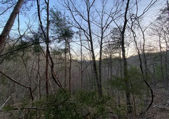 Homes for sale in Sevierville, TN | 46 Beechwood Street, Sevierville, TN 37876 | MLS# 3270043