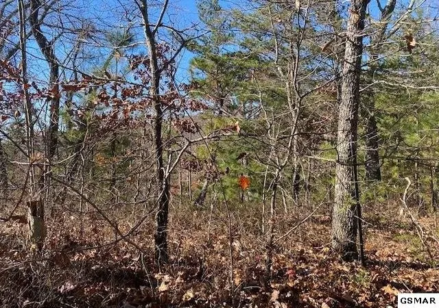 Photo 1 of Land for sale at 71 Poplar Pl, Sevierville, TN 37876 | MLS# 3313365 | Listing updated on 2026-09-15