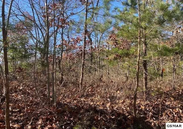 Photo 1 of Land for sale at 69 Poplar Pl, Sevierville, TN 37876 | MLS# 3313366 | Listing updated on 2026-09-15