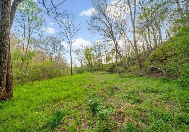 Photo 3 of Land for sale at 4 Bud Parker Ln, Erin, TN 37061 | MLS# 3233514 | Listing updated on 2026-08-13