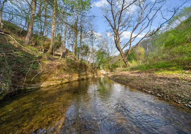 Photo 4 of Land for sale at 4 Bud Parker Ln, Erin, TN 37061 | MLS# 3233514 | Listing updated on 2026-08-13