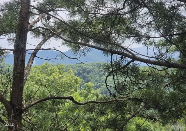 Photo 2 of Single family home for sale at 1615 Misty Holw Way #38, Gatlinburg, TN 37738 | MLS# 3547870 | Listing updated on 2026-09-14