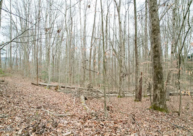 17th image of 0 Tennessee 31, Mooresburg, TN 37811 | MLS# 3286244