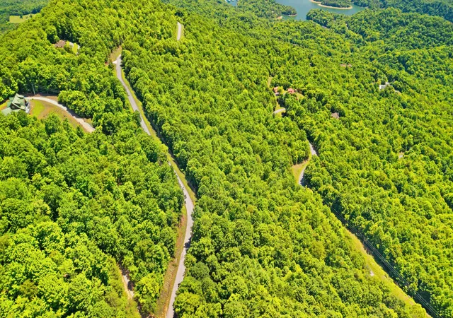 Photo 4 of Land for sale at 209 Clinch View Rd, New Tazewell, TN 37825 | MLS# 3233501 | Listing updated on 2026-08-19