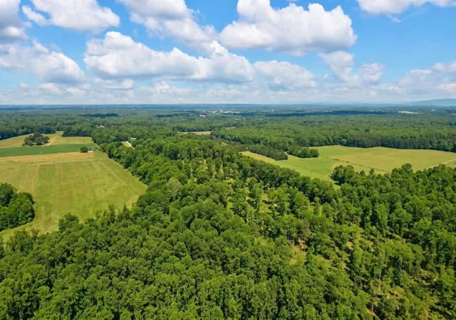 Homes for sale in Belvidere, TN | 0 Whitaker Lane, Belvidere, TN 37306 | MLS# 3245135