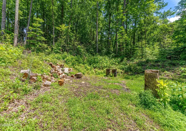 1st image of 229 Sonshine Ridge Road, Cosby, TN 37722 | MLS# 3270050