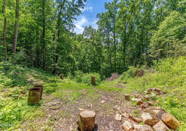 21st image of 229 Sonshine Ridge Road, Cosby, TN 37722 | MLS# 3270050