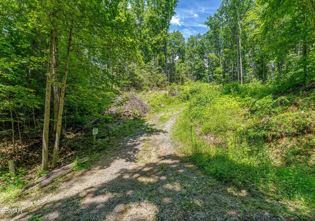 4th image of 229 Sonshine Ridge Road, Cosby, TN 37722 | MLS# 3270050