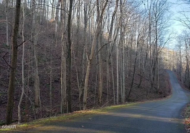 5th image of 229 Sonshine Ridge Road, Cosby, TN 37722 | MLS# 3270050