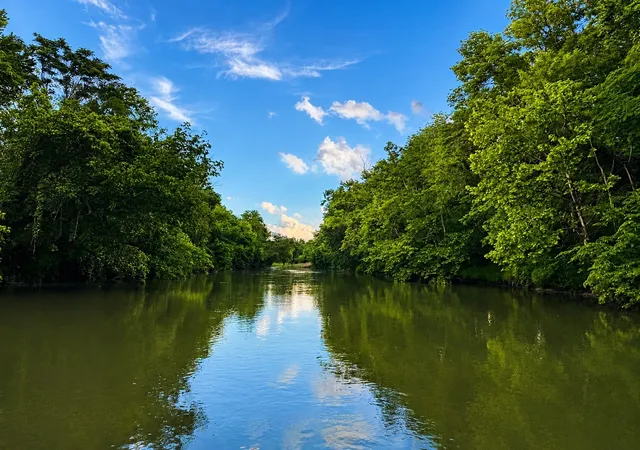 1st image of 0 Hwy 13, Linden, TN 37096 | MLS# 3243143