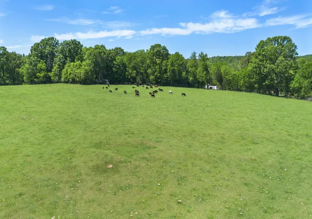 40th image of 0 Hwy 13, Linden, TN 37096 | MLS# 3243143