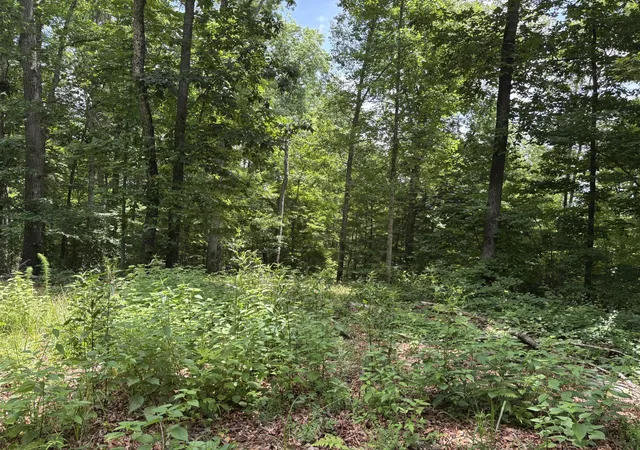 Homes for sale in Riceville, TN | 236 County Road 3, Riceville, TN 37370 | MLS# 3233811