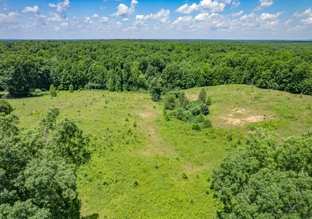 Homes for sale in Duck River, TN | 0 Mobley Ridge Rd, Duck River, TN 38454 | MLS# 3234723