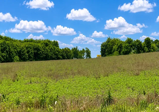 Photo 3 of Land for sale at 0 Highway 56 S, Smithville, TN 37166 | MLS# 3233936 | Listing updated on 2026-09-03