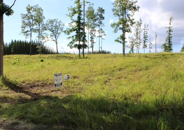 Photo 1 of Sale Pending at 0 Long Mountain Rd, Mc Minnville, TN 37110 | MLS# 3233929 | Listing updated on 2026-10-05