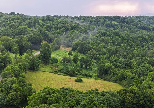5th image of 0 Stephens Road, Columbia, TN 38401 | MLS# 3234014