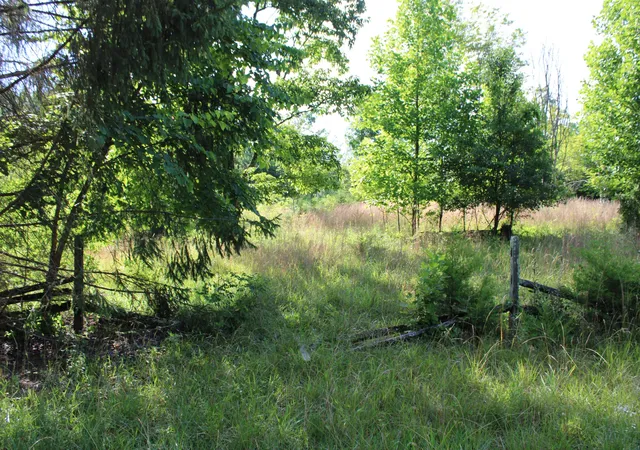 2nd image of 0 Long Mountain, Mc Minnville, TN 37110 | MLS# 3243778