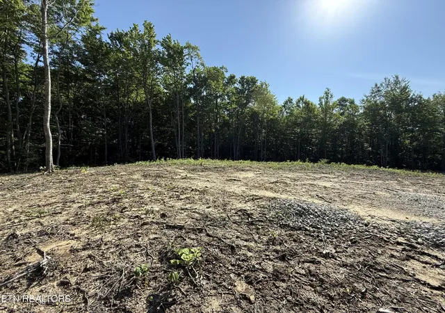 Homes for sale in Sunbright, TN | 969 Lewallen Rd, Sunbright, TN 37872 | MLS# 3233991