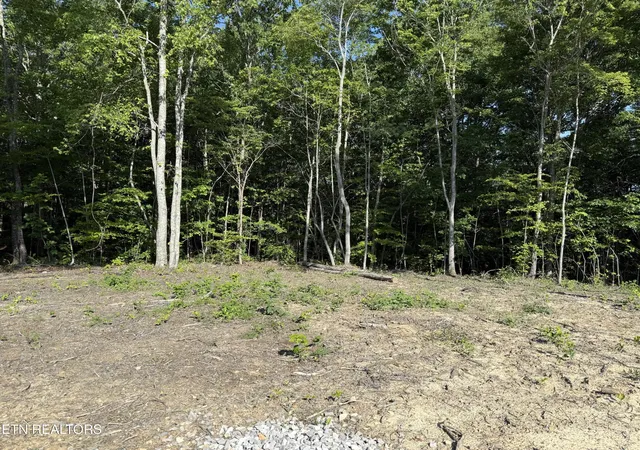 Homes for sale in Sunbright, TN | 969 Lewallen Rd, Sunbright, TN 37872 | MLS# 3233991