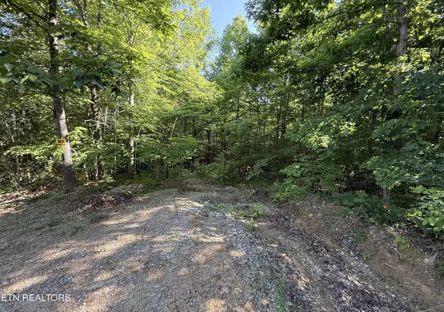 Homes for sale in Sunbright, TN | 969 Lewallen Rd, Sunbright, TN 37872 | MLS# 3233991