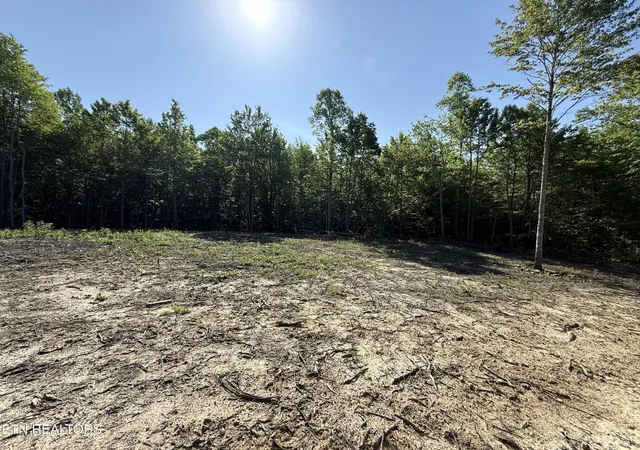Homes for sale in Sunbright, TN | 969 Lewallen Rd, Sunbright, TN 37872 | MLS# 3233991