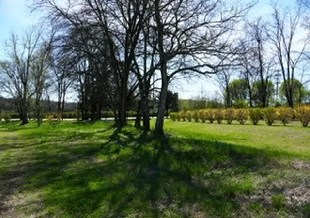 5th image of 6790 Flat Creek Rd, College Grove, TN 37046 | MLS# 3246910