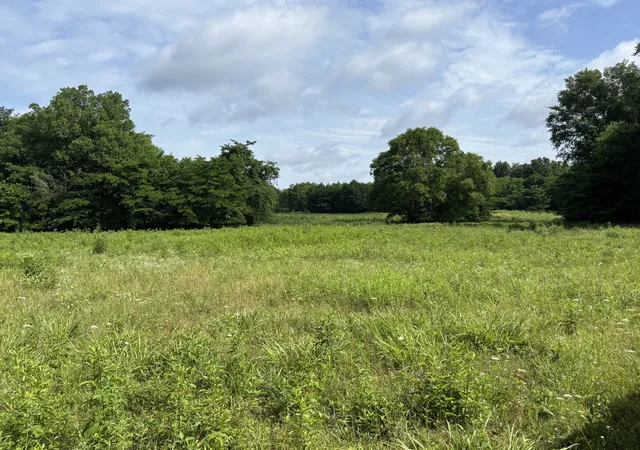 1st image of 19 Vesta Road, Lebanon, TN 37090 | MLS# 3239608