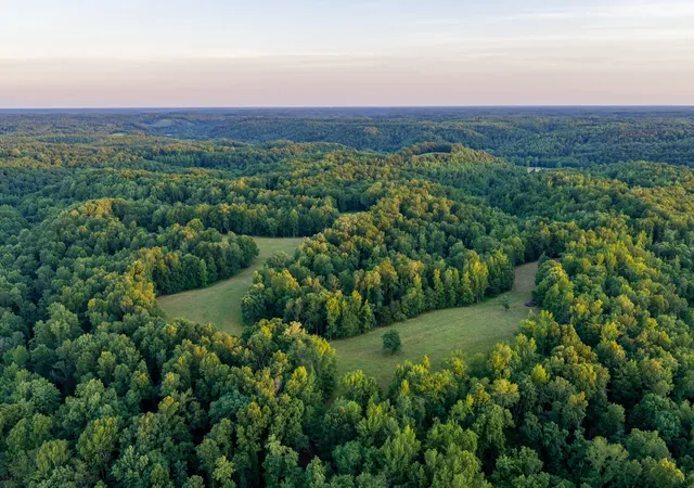 Homes for sale in Prospect, TN | 2073 Dog Branch Rd, Prospect, TN 38477 | MLS# 3234857