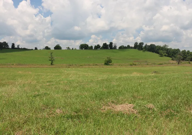 Photo 2 of Land for sale at 5 County Rd 461, Englewood, TN 37329 | MLS# 3244214 | Listing updated on 2026-08-13