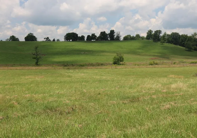 Photo 3 of Land for sale at 5 County Rd 461, Englewood, TN 37329 | MLS# 3244214 | Listing updated on 2026-08-13